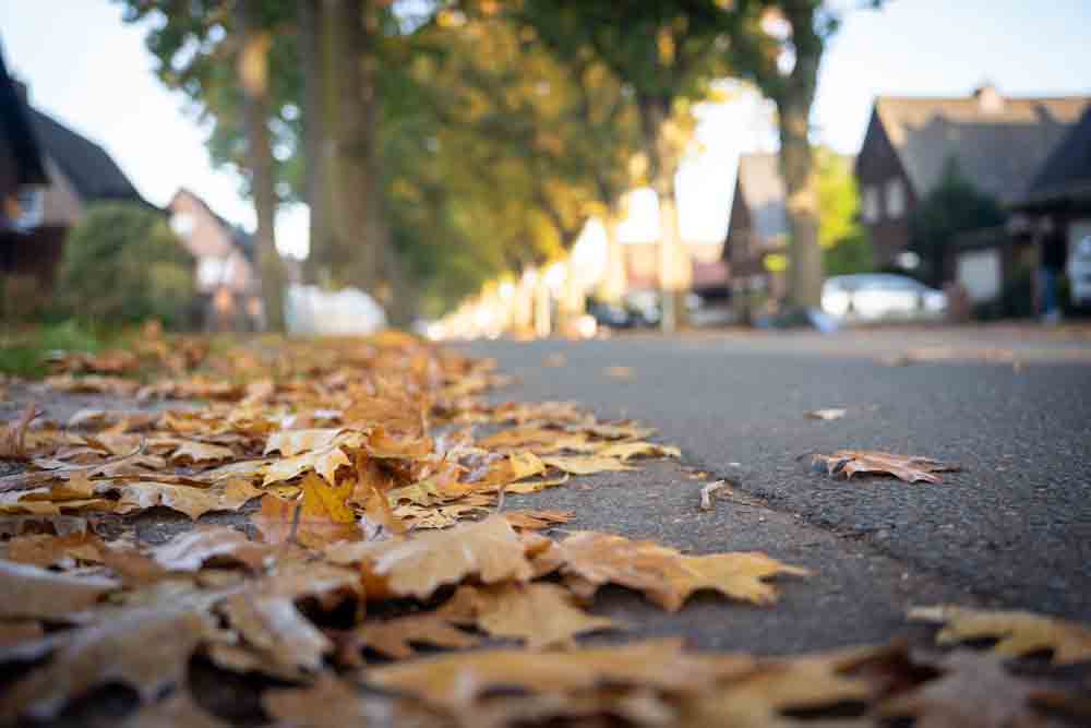 Blätter auf einer Bocholter Straße