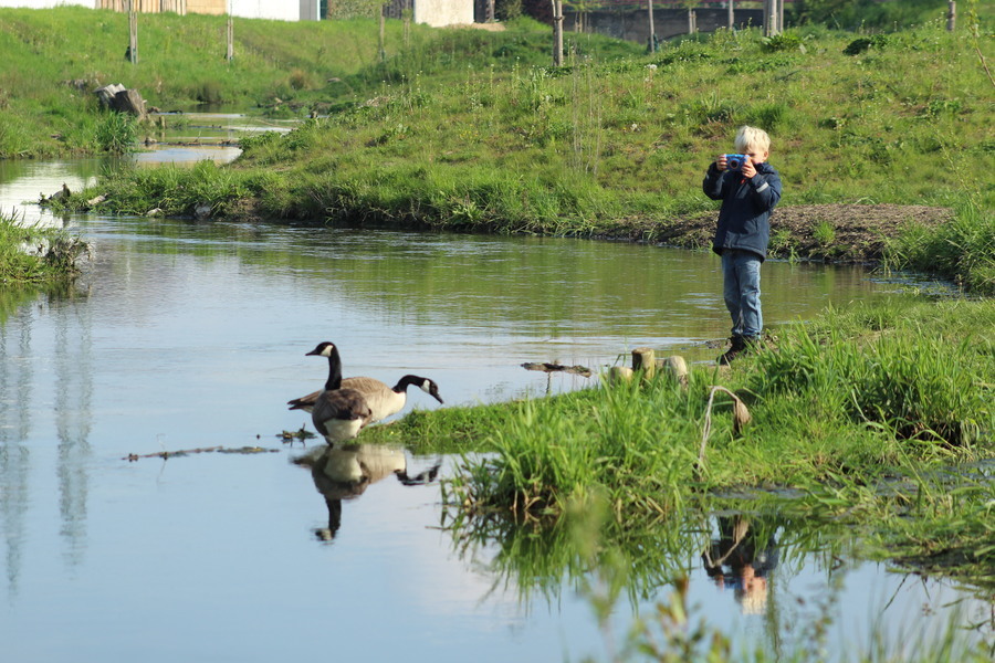 "Klimaanpassung am Fluss": Safari, Siegerfoto Düsseldorf 2021