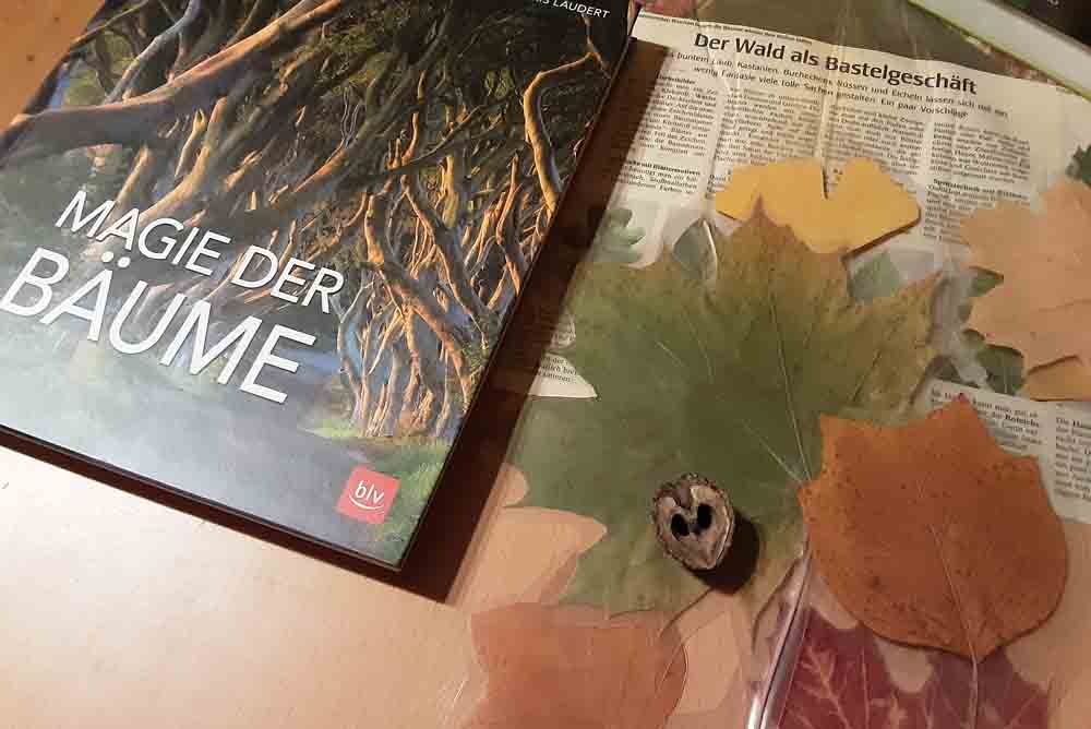 Buch, Zeitung und Blätter liegen auf einem Tisch