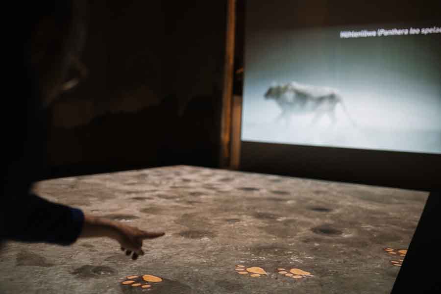 Blick in die Sonderausstellung "überLeben in der Eiszeit"