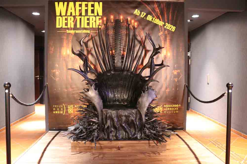 Außergewöhnlicher Thron macht auf die bevorstehende Sonderausstellung aufmerksam