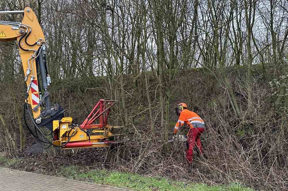 Mensch und Maschine bei Pflegearbeiten an Bäumen