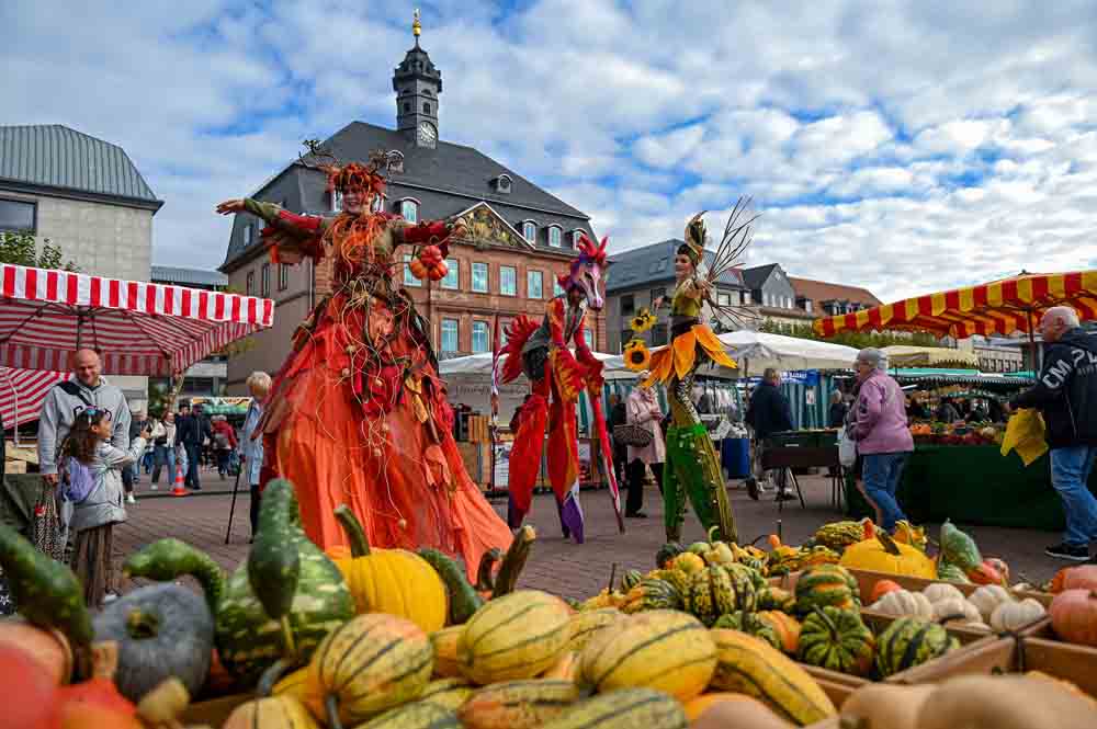 Stelzenläufer auf dem Wochenmarkt mit Kürbissen im Vordergrund