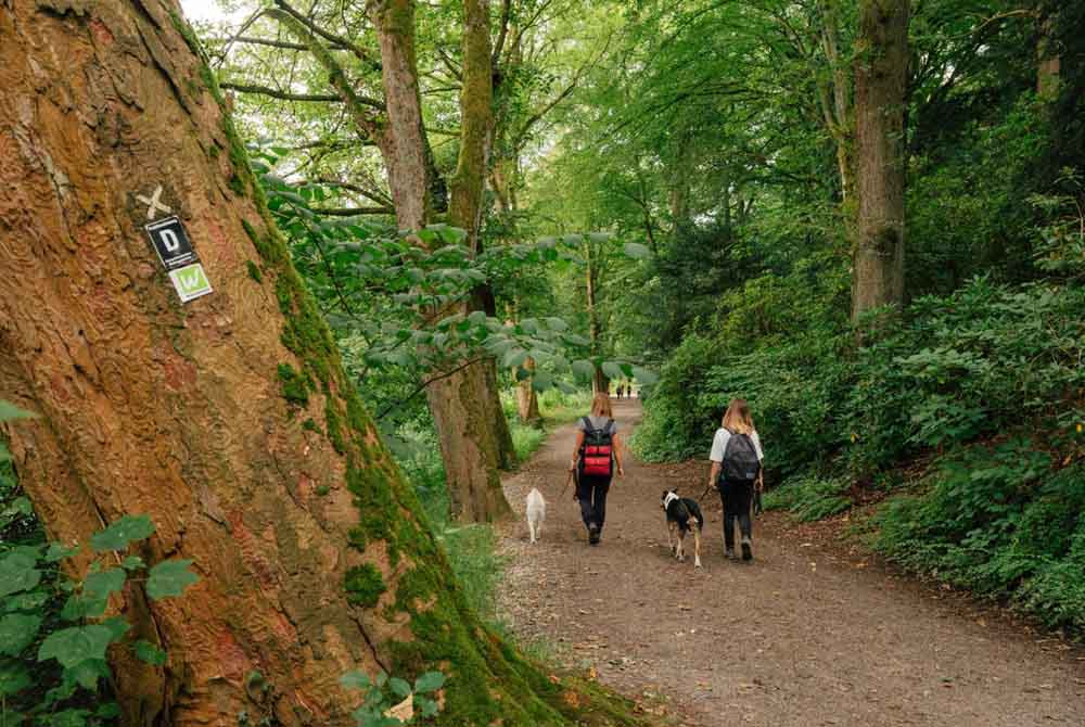 Personen wandern auf dem Drahthandelsweg