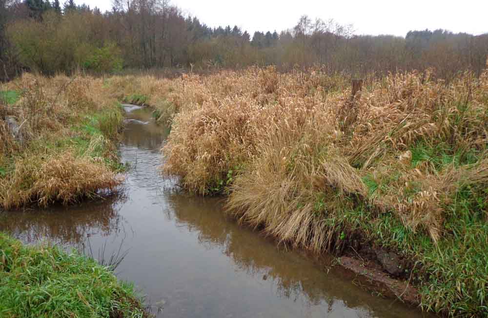 Blick auf den Bach Grove in den Gemeinden Schiffdorf und Beverstedt